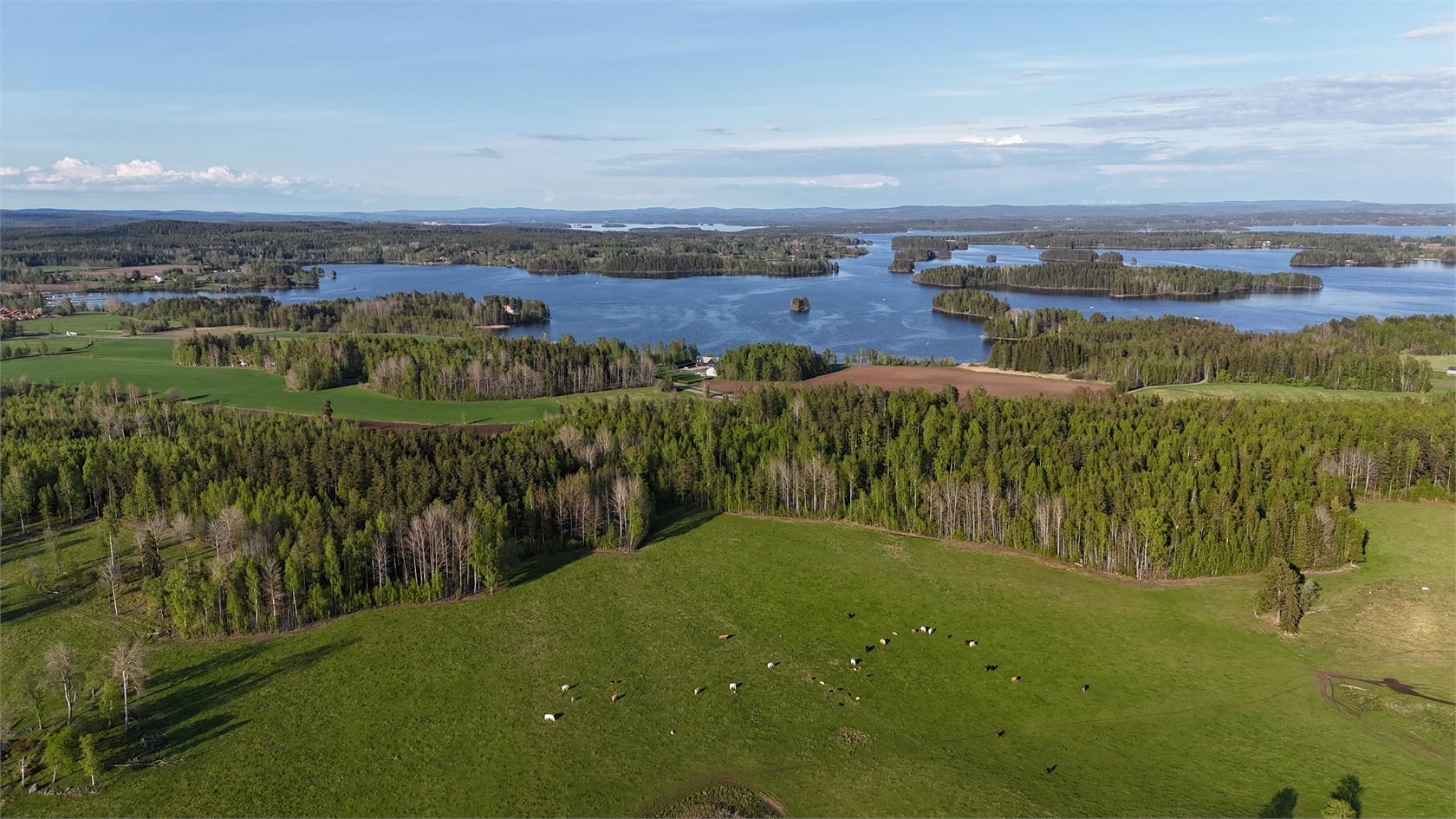 Solbacka, sjö och betesmark vid Lilla Ornäs, Dalsjö